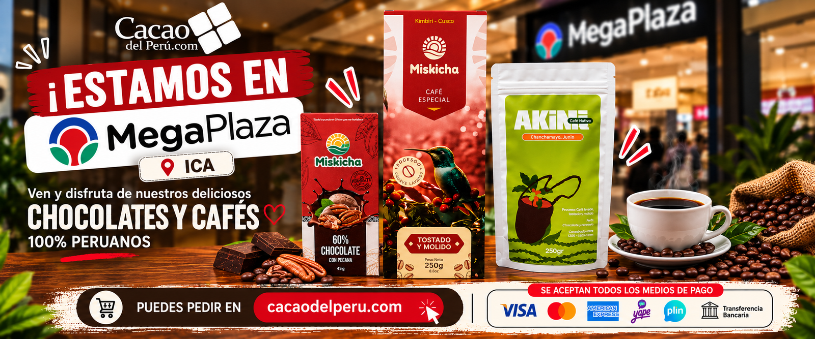 Megaplaza Ica